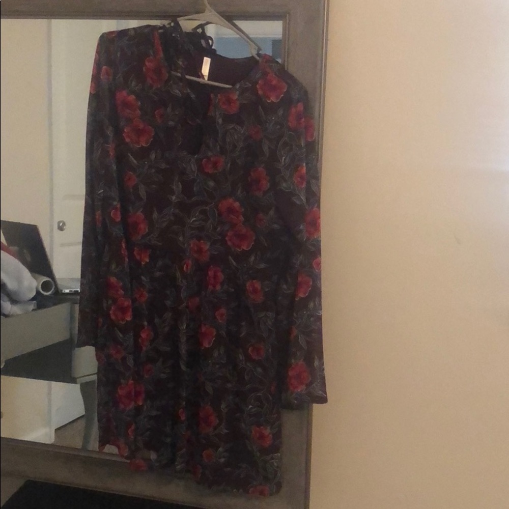 Mini Bell Sleeve Sheer Sleeve Dress